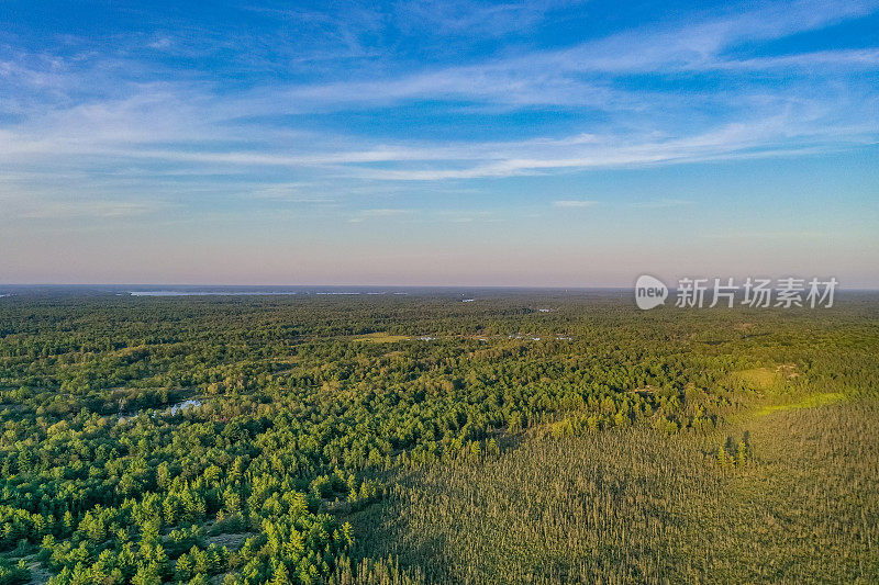 黄昏时的Muskoka Torrance Barrens Dark-Sky保护区，Gravenhurst，加拿大